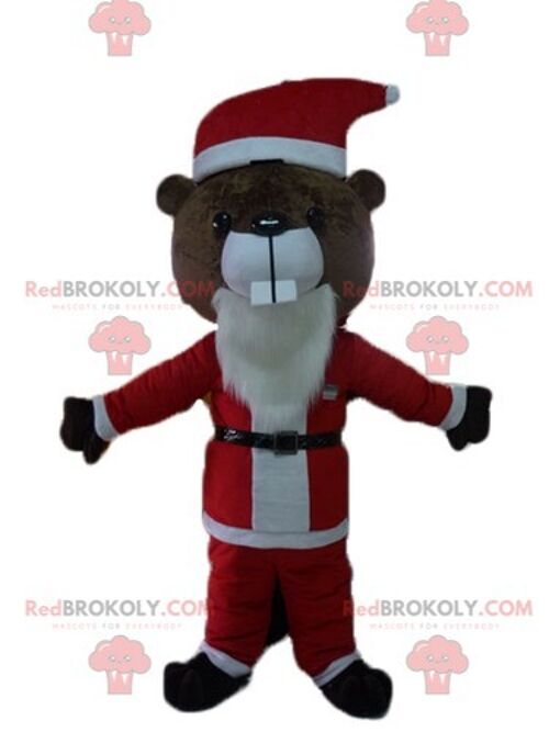 Brown teddy bear REDBROKOLY mascot in Santa Claus outfit / REDBROKO_03847