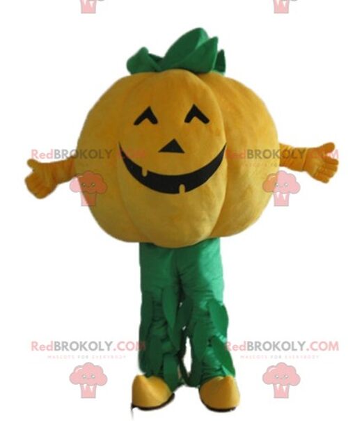 Giant orange and green pumpkin REDBROKOLY mascot / REDBROKO_03864