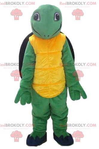 Green crocodile REDBROKOLY mascot with a red jacket and an accordion / REDBROKO_04075