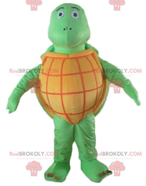 Friendly and smiling yellow green and black turtle REDBROKOLY mascot / REDBROKO_04076