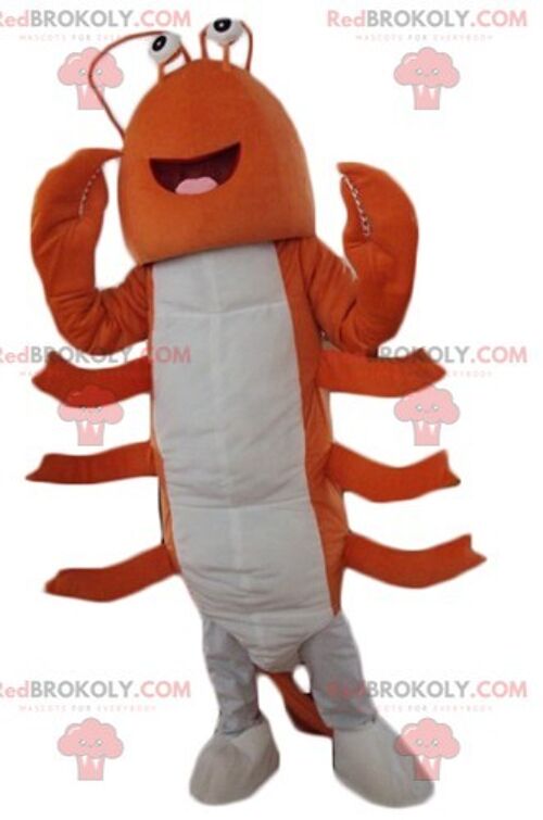 Orange and white crayfish giant lobster REDBROKOLY mascot / REDBROKO_04131