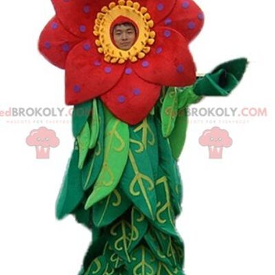 Beautiful yellow and red flower REDBROKOLY mascot with leaves / REDBROKO_04190