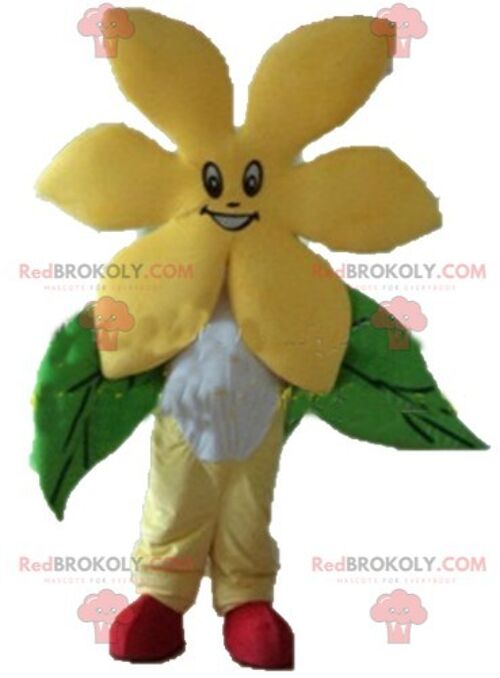 REDBROKOLY mascot pretty giant orange and green flower / REDBROKO_04194