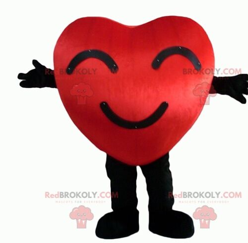 Giant and cute red heart REDBROKOLY mascot / REDBROKO_04284