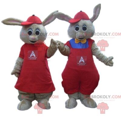 2 REDBROKOLY mascots a rabbit and a smiling brown and white panda / REDBROKO_04416