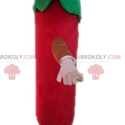 REDBROKOLY mascotte Madame Potato personaggio famoso in Toy Story / REDBROKO_04515