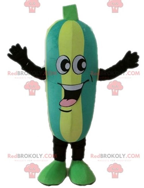 REDBROKOLY mascot giant eggplant. Vegetable REDBROKOLY mascot / REDBROKO_04631