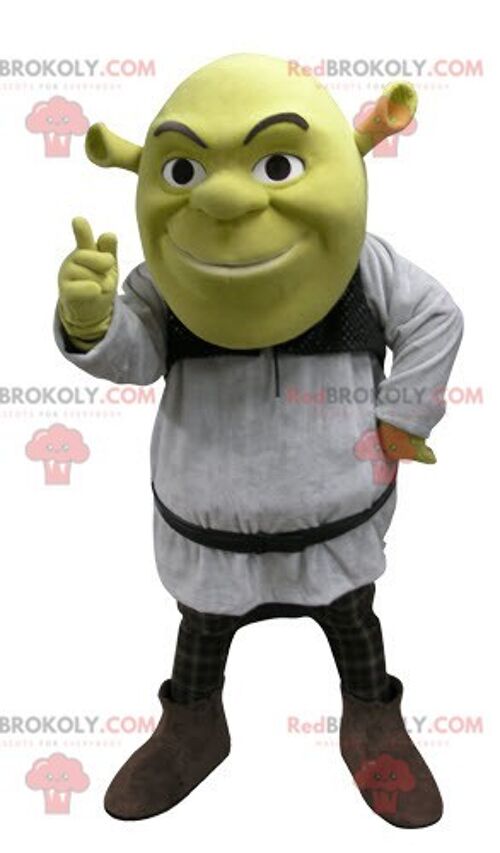 Fiona REDBROKOLY mascot famous woman of Shrek the green ogre / REDBROKO_04775