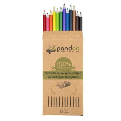 12 crayons de couleur fabriqués à partir de papier journal recyclé