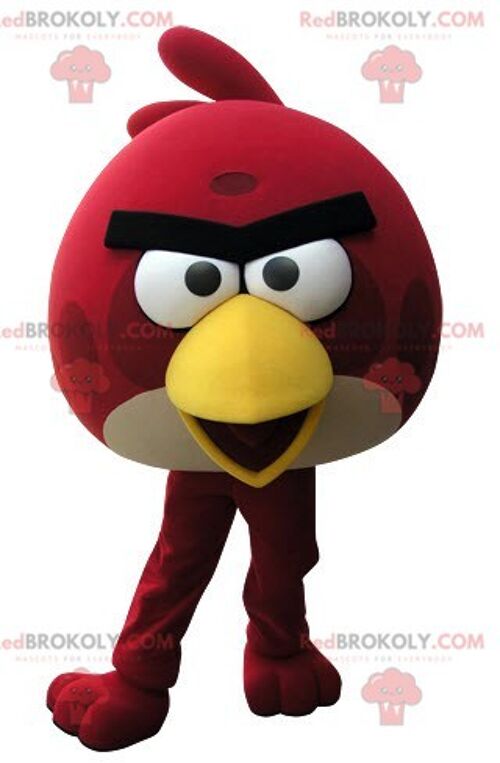Angry Birds REDBROKOLY mascot. Green pig REDBROKOLY mascot / REDBROKO_05204