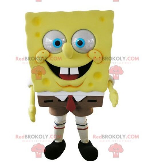 REDBROKOLY mascot SpongeBob famous cartoon character / REDBROKO_05259