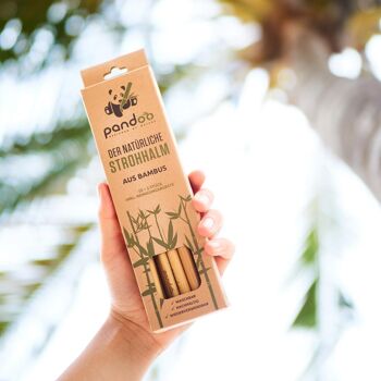 Pailles sans plastique en bambou | Produit 100% naturel 2