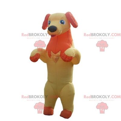 Mascota del perro azul REDBROKOLY con bata de médico / REDBROKO_06922