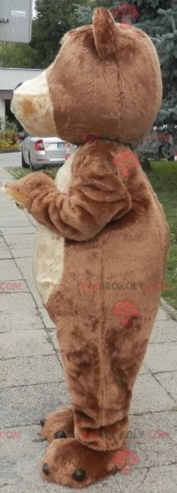 Mascotte d'ours en peluche marron REDBROKOLY habillé en blanc / REDBROKO_07029 3