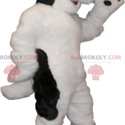 Perro peludo blanco y negro mascota REDBROKOLY con chaleco amarillo / REDBROKO_07051