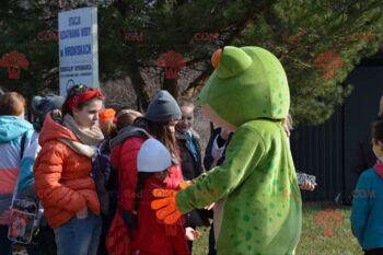 Mascotte de grenouille verte REDBROKOLY habillée en blanc et orange / REDBROKO_07080 2