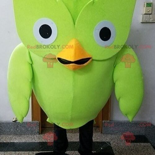 Big chick bird yellow bird REDBROKOLY mascot / REDBROKO_07287