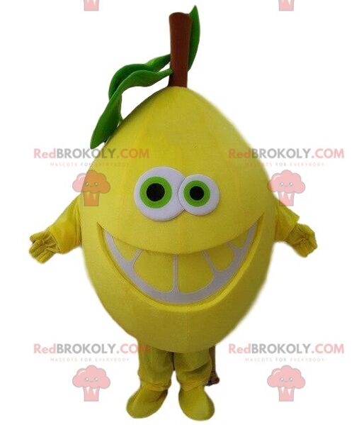 Giant yellow lemon costume REDBROKOLY mascot. Smiling lemon costume / REDBROKO_08099