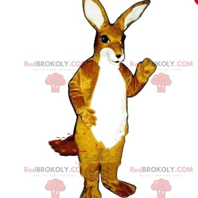 Fox REDBROKOLY mascota, disfraz de zorro, disfraz de perro / REDBROKO_08243
