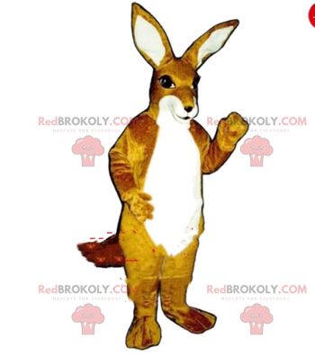 Mascotte de renard REDBROKOLY, costume de renard, costume de chien / REDBROKO_08243