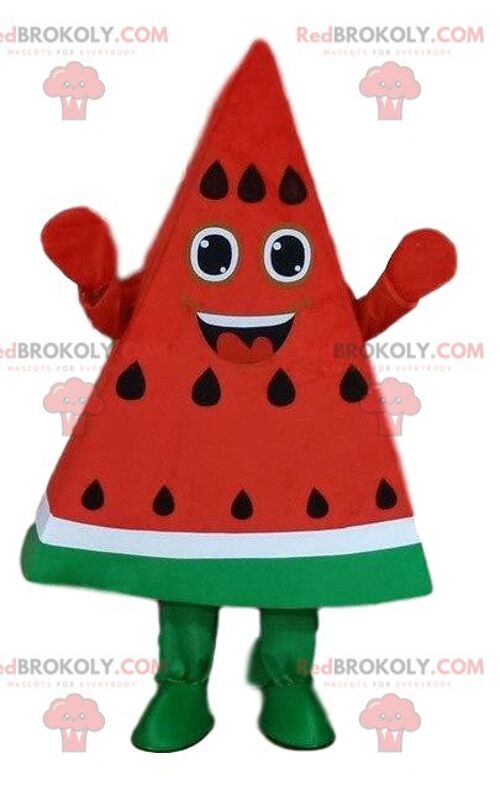 Watermelon REDBROKOLY mascot, piece of watermelon, slice of watermelon / REDBROKO_08245