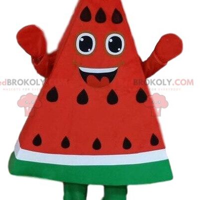 Watermelon REDBROKOLY mascot, piece of watermelon, slice of watermelon / REDBROKO_08245