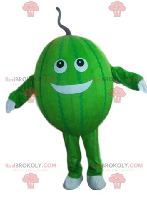 Melon REDBROKOLY mascot, watermelon costume, fruit disguise / REDBROKO_08269