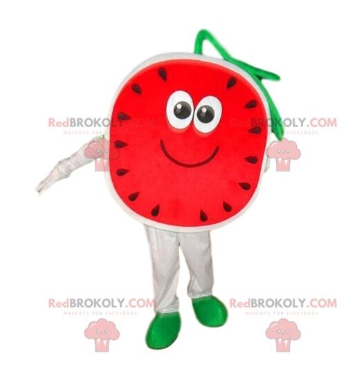 Watermelon REDBROKOLY mascot, melon costume, fruit disguise / REDBROKO_08271