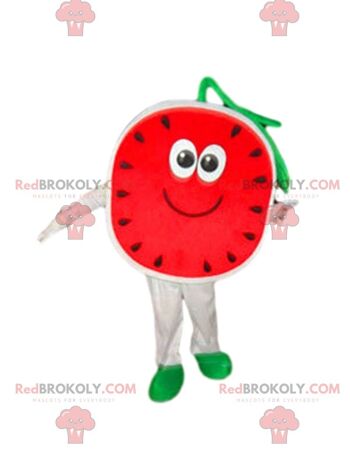 Mascotte de pastèque REDBROKOLY, costume de melon, déguisement de fruit / REDBROKO_08271 2