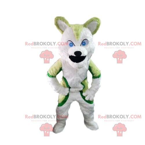 3 husky REDBROKOLY mascots, husky costumes, dog costumes / REDBROKO_08368