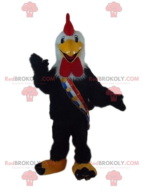 Black bird REDBROKOLY mascot, raven costume, bird disguise / REDBROKO_08462