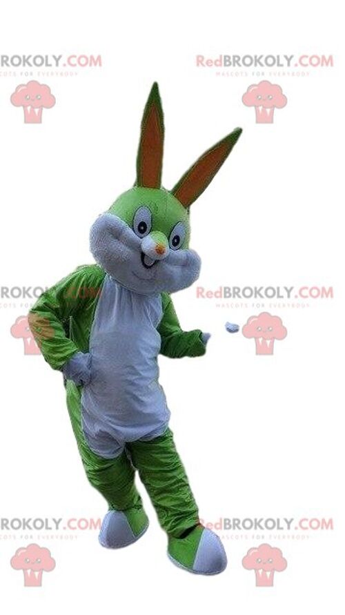 Tiger REDBROKOLY mascot, feline costume, giant puma disguise / REDBROKO_08483