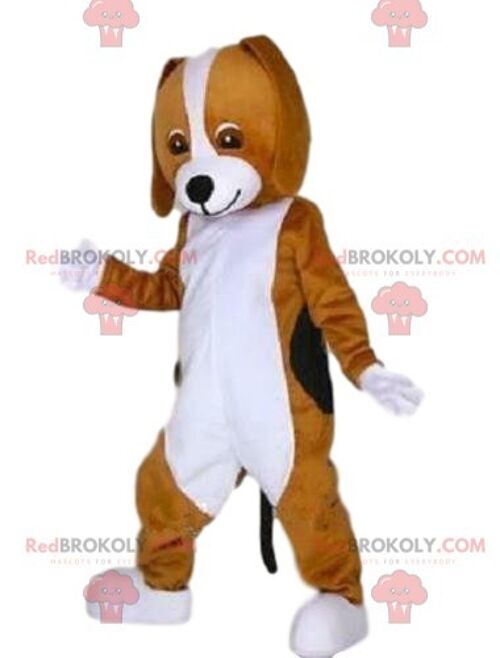 Big brown and white cat REDBROKOLY mascot, inflatable costume / REDBROKO_08490