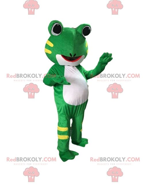 Otter REDBROKOLY mascot, sea lion costume, sea lion costume / REDBROKO_08500