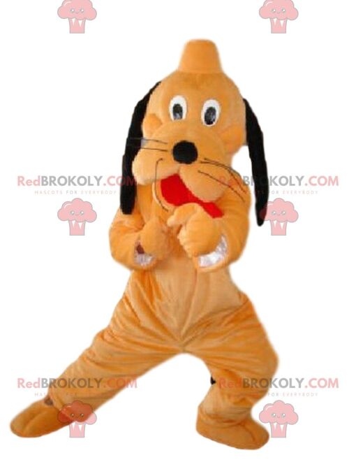 Red and white dog REDBROKOLY mascot, two-tone dog costume / REDBROKO_08547