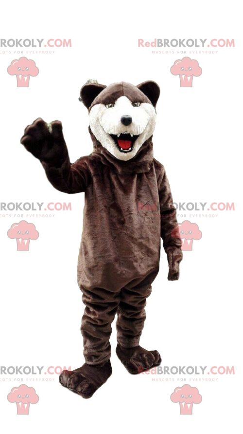 Husky dog REDBROKOLY mascot, fox costume, hairy disguise / REDBROKO_08565