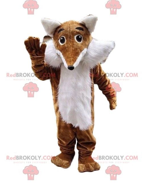 REDBROKOLY mascot of Fuleco, famous armadillo, football world cup 2014 / REDBROKO_08614