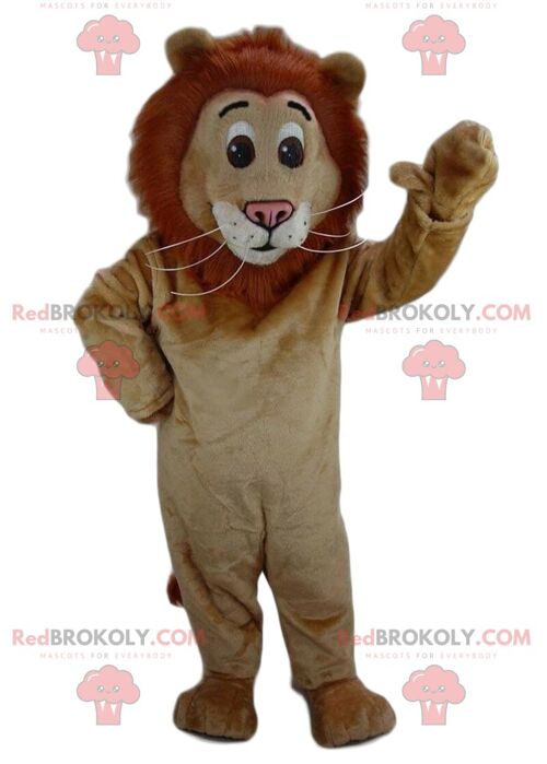 Brown teddy bear REDBROKOLY mascot, bear costume, teddy bear / REDBROKO_08624