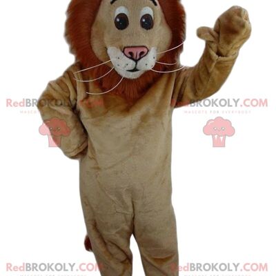 Brown teddy bear REDBROKOLY mascot, bear costume, teddy bear / REDBROKO_08624