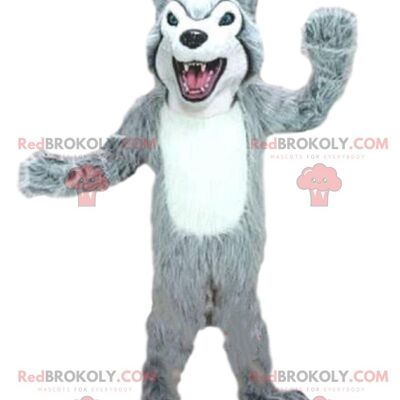 REDBROKOLY mascotte delfino azzurro, costume da mare, balena gigante / REDBROKO_08713