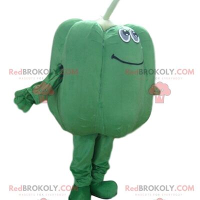 Boy REDBROKOLY mascot, young man costume, child costume / REDBROKO_08737