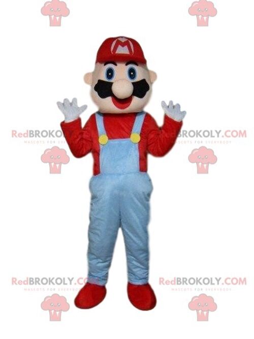 REDBROKOLY mascot of Luigi, famous character and friend of Mario, Luigi / REDBROKO_08757