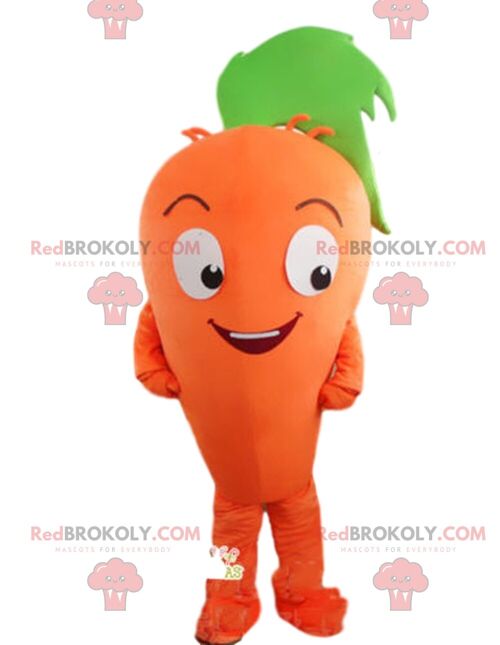 Giant tooth REDBROKOLY mascot, tooth costume, dentist costume / REDBROKO_08768