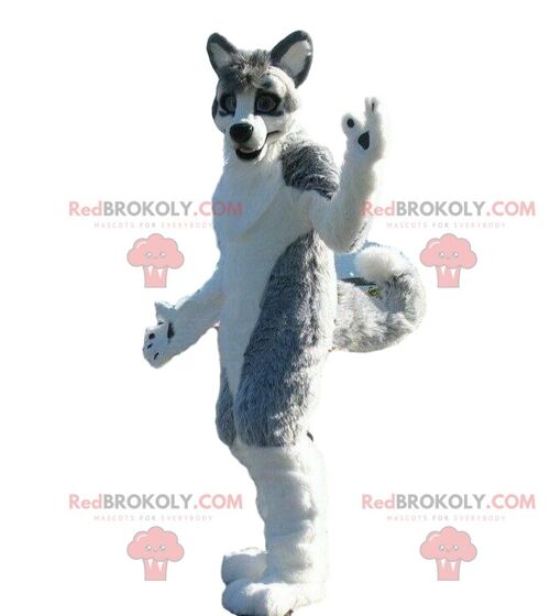 Totoro REDBROKOLY mascot, raccoon costume, Totoro disguise / REDBROKO_08986