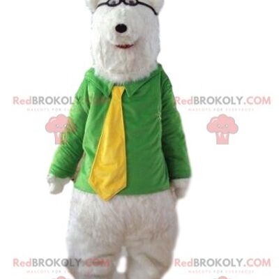 Sports dog REDBROKOLY mascot, team costume, supporter REDBROKOLY mascot / REDBROKO_09065