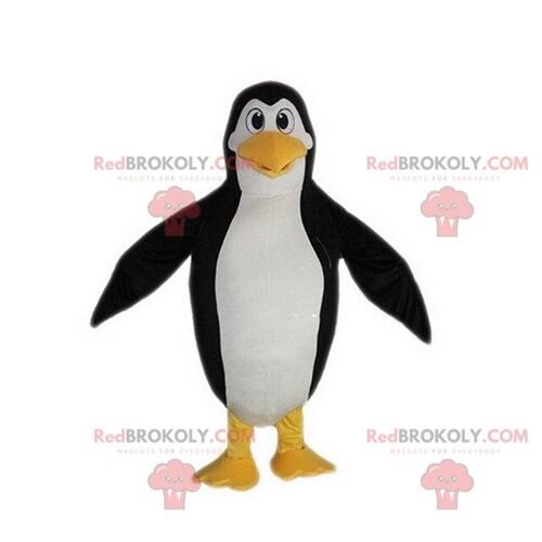 Penguin REDBROKOLY mascot, penguin costume, ice floe animal / REDBROKO_09108
