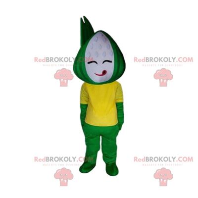 Zongzi costume, traditional Chinese meal, funny creature / REDBROKO_09159