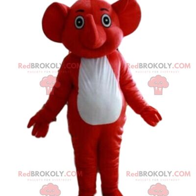 Gray koala REDBROKOLY mascot, Australian costume, Australian animal / REDBROKO_09249