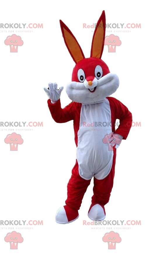 Sardine REDBROKOLY mascot, gray fish costume, giant / REDBROKO_09373