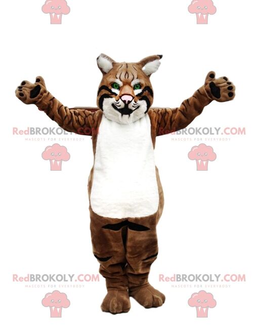Raccoon REDBROKOLY mascot, polecat costume, forest animal / REDBROKO_09410